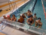 Plavecký kurz, žáci 4. ročníku, KV aréna